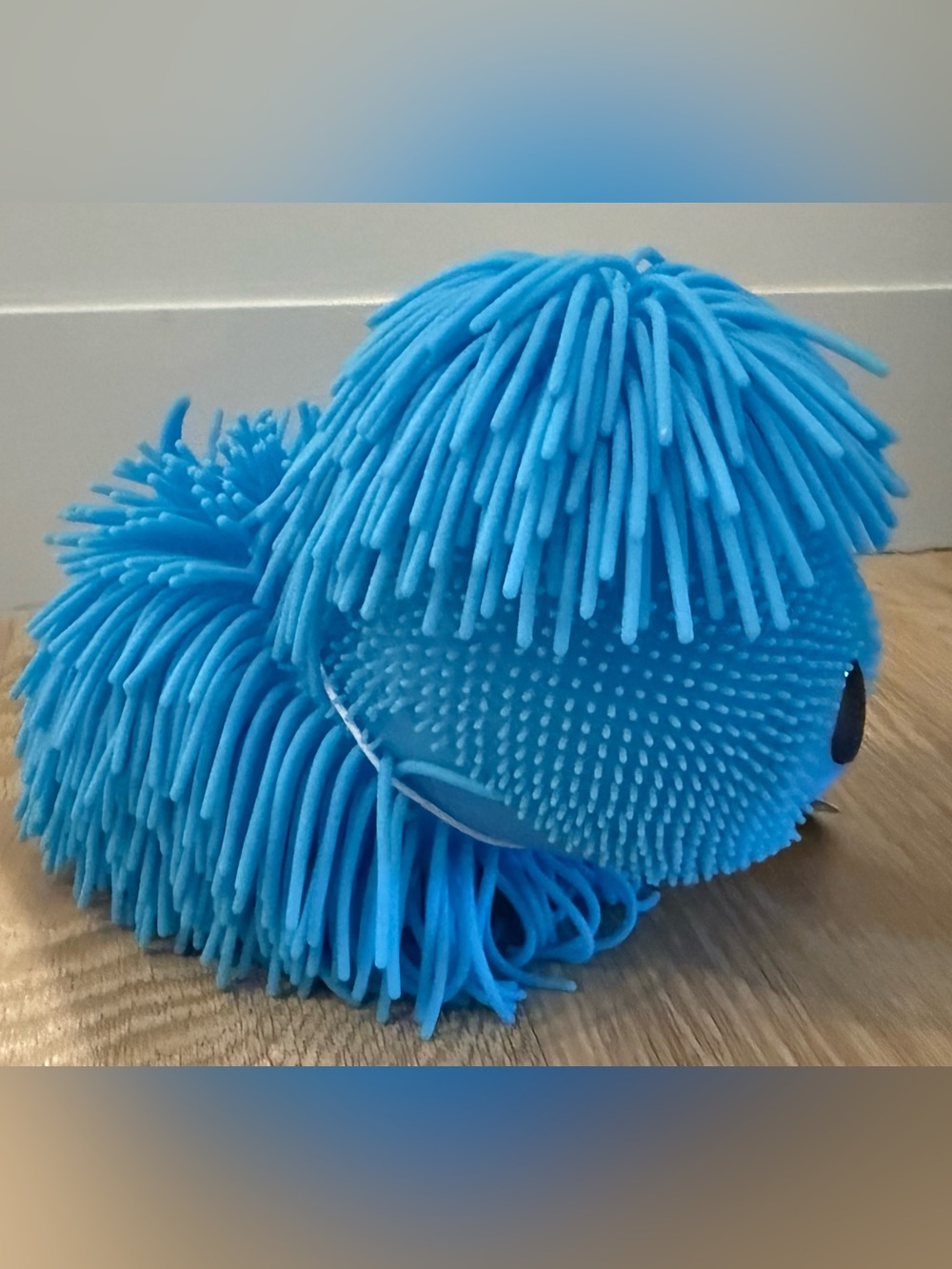Blue Sensory/Squeeze Dog Toy W/ Textured Bristle Body PUFFEROO PETS TRENDING NWT